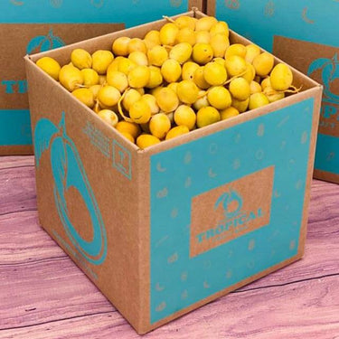 Yellow Barhi Dates BoxSmall (5 Pounds)